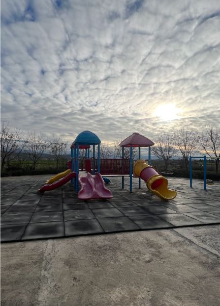 Artboard-1-copy-2-100