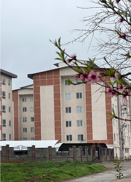 Artboard-1-copy-2-1007